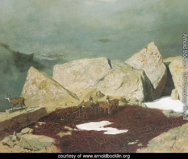 Mountain Landscape with chamois